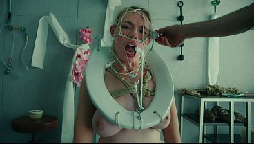 The most beautiful toilet pet in the world